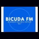 Rádio Bicuda FM