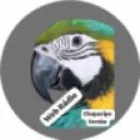 Web Radio Chaparipe Sertão